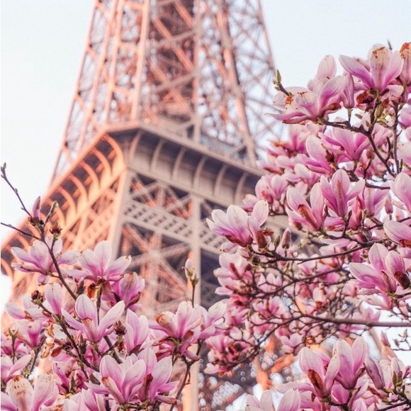 SPRING SALE 🌷 30% off 2+ items! Discount at checkout 🌷 - Picture 7 of 7